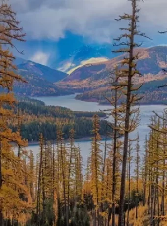Complete guide to Hungry Horse Reservoir fly fishing camping and hiking. Discover top lakes, flies, trails, and campsites.