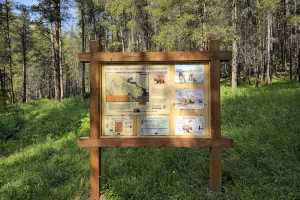 Lake Fork Trail-Beartooth Mountains-Montana 2. 3 Lake Fork Trail-Beartooth Mountains-Montana 2. 3