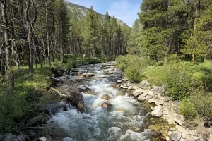Lake Fork Trail-Beartooth Mountains-Montana 4. 3 Lake Fork Trail-Beartooth Mountains-Montana 4. 3