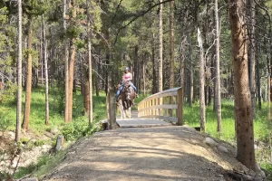 Lake Fork Trail-Beartooth Mountains-Montana 5. 3 Lake Fork Trail-Beartooth Mountains-Montana 5. 3