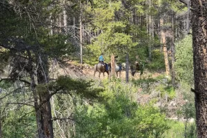 Lake Fork Trail-Beartooth Mountains-Montana 7. 3 Lake Fork Trail-Beartooth Mountains-Montana 7. 3