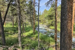 Lake Fork Trail-Beartooth Mountains-Montana 8. 3 Lake Fork Trail-Beartooth Mountains-Montana 8. 3