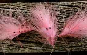 Pattiegrisen Pink Shrimp S.1 1. 3 Pattiegrisen Pink Shrimp S.1 1. 3