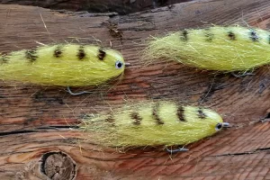 Yellow Black Striped Saltwater Baitfish 1. 3 Yellow Black Striped Saltwater Baitfish 1. 3