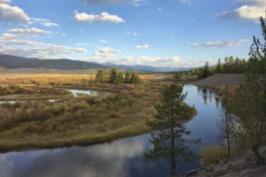 Couple of Days Fly Fishing Yellowstone Park 10. 3 Couple of Days Fly Fishing Yellowstone Park 10. 3