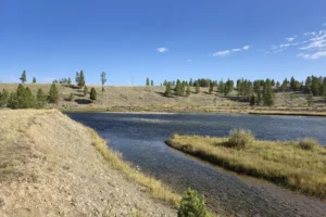 Couple of Days Fly Fishing Yellowstone Park 16. 3 Couple of Days Fly Fishing Yellowstone Park 16. 3