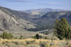 Gazing down on the bridge over the Gardiner River heading towards Lamar Valley.