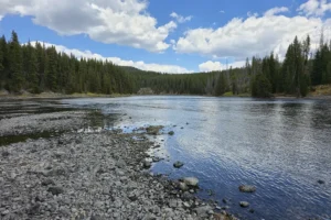 Couple of Days Fly Fishing Yellowstone Park 29. 3 Couple of Days Fly Fishing Yellowstone Park 29. 3