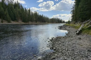 Couple of Days Fly Fishing Yellowstone Park 30. 3 Couple of Days Fly Fishing Yellowstone Park 30. 3