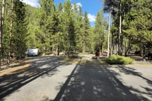 Couple of Days Fly Fishing Yellowstone Park 31. 3 Couple of Days Fly Fishing Yellowstone Park 31. 3