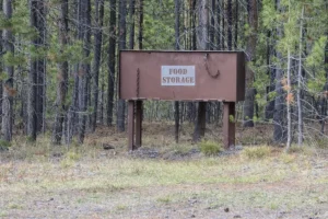 Couple of Days Fly Fishing Yellowstone Park 33. 3 Couple of Days Fly Fishing Yellowstone Park 33. 3