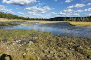 Couple of Days Fly Fishing Yellowstone Park 35. 3 Couple of Days Fly Fishing Yellowstone Park 35. 3