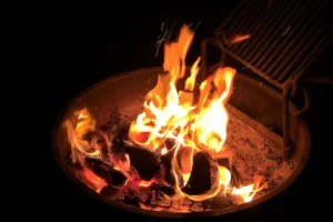 Couple of Days Fly Fishing Yellowstone Park 39. 3 Couple of Days Fly Fishing Yellowstone Park 39. 3