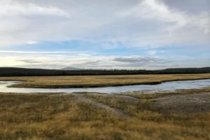 Along the road south, meadows of elk, and grizzly bears and few mule deer.