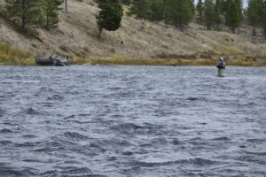 Couple of Days Fly Fishing Yellowstone Park 42. 3 Couple of Days Fly Fishing Yellowstone Park 42. 3