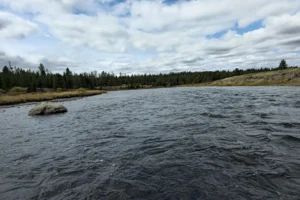 Couple of Days Fly Fishing Yellowstone Park 43. 3 Couple of Days Fly Fishing Yellowstone Park 43. 3