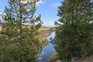 Couple of Days Fly Fishing Yellowstone Park 8. 3