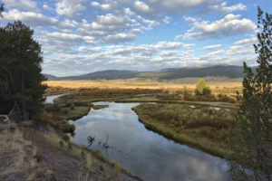 Couple of Days Fly Fishing Yellowstone Park 9. 3 Couple of Days Fly Fishing Yellowstone Park 9. 3