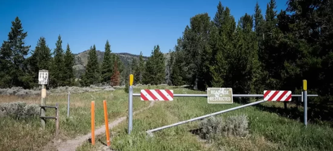 Discover the vital importance of Roadless areas in the National Forest and BLM Lands for clean water, wildlife, and our climate. Learn why these wild places matter.