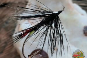 565161843_1408796891254051_1210906685306184574_n Green Butt Skunk Steelhead Fly Pattern