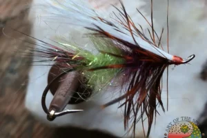 Green-Flash-1.-3 Green Flash Steelhead Pattern