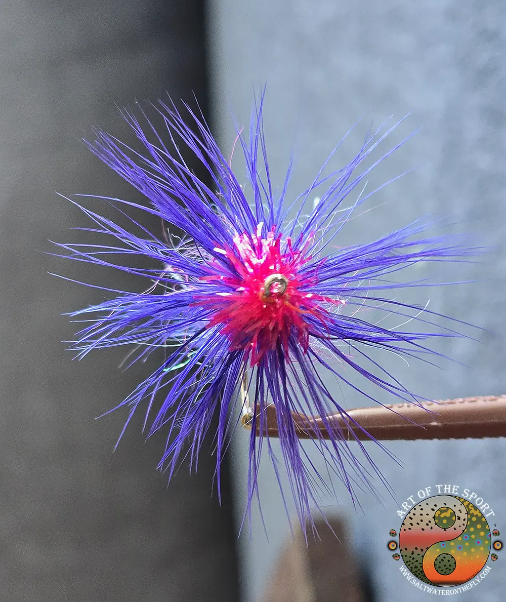 Purple Egg sucking leech head on