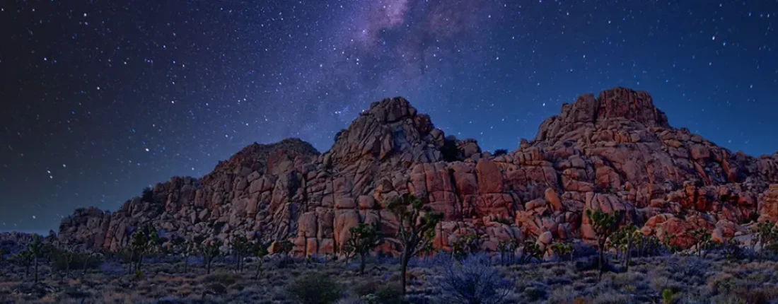 Joshua Tree National Park