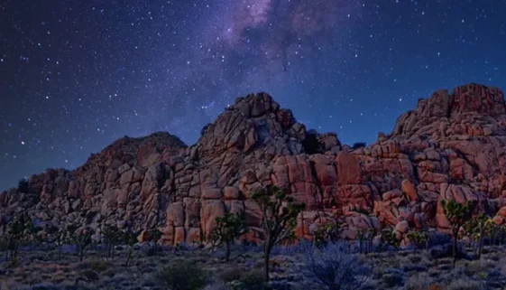 Joshua Tree National Park