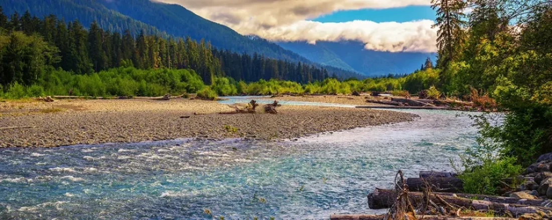 Steelhead Fly Fishing Hoh River Washington