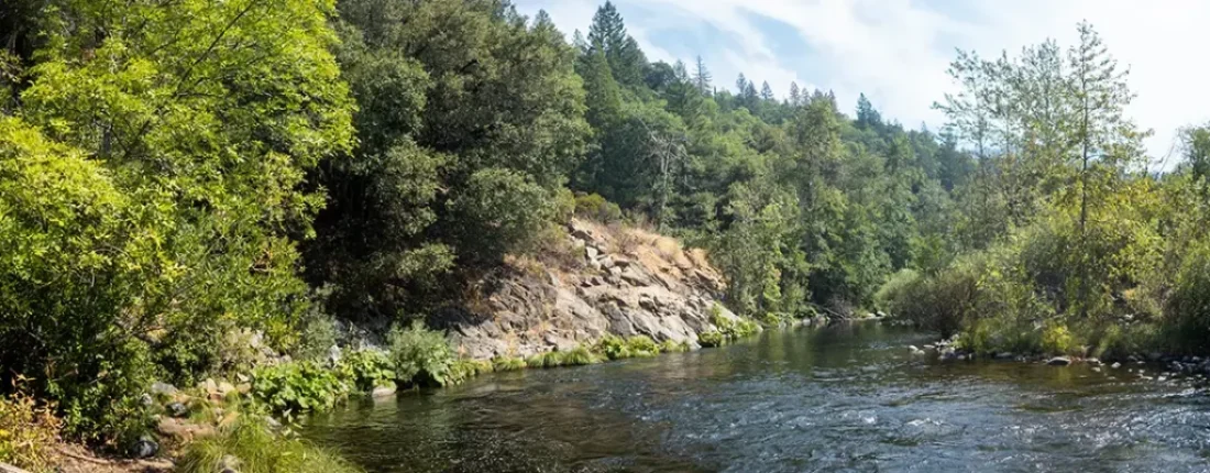 steelhead fly fishing on the Sacramento River. This guide covers the best seasons, gear, techniques, flies, and access points.