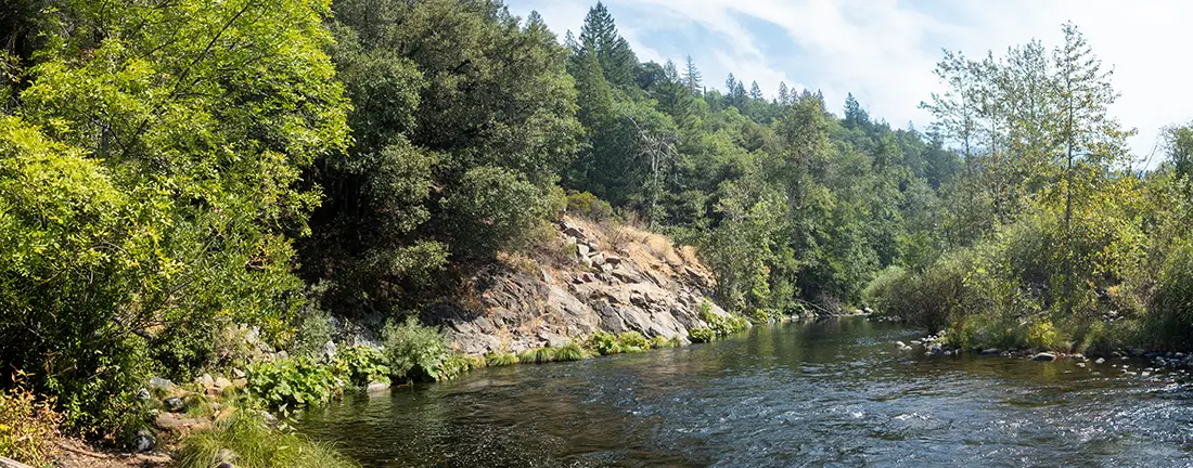 steelhead fly fishing on the Sacramento River. This guide covers the best seasons, gear, techniques, flies, and access points.