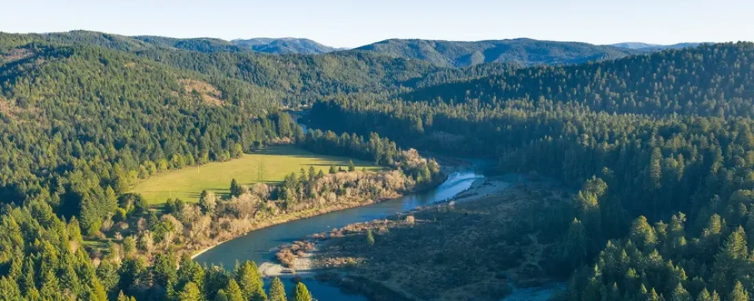 guide to Steelhead Fly Fishing on the Smith River California. Learn the best times, gear, flies, and techniques for success.