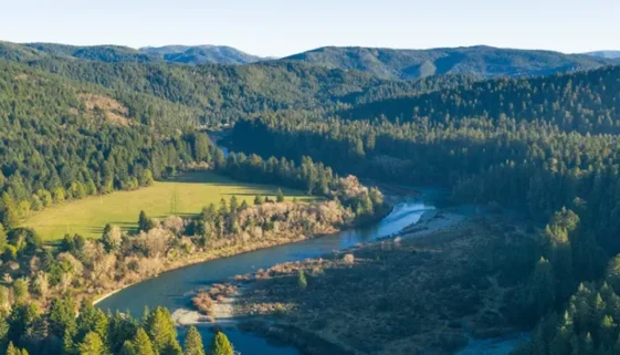 guide to Steelhead Fly Fishing on the Smith River California. Learn the best times, gear, flies, and techniques for success.
