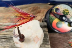 Autumn Day Spey 1. 3 Autumn Day Spey Fly.