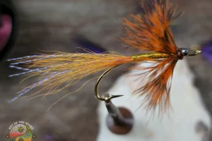 Golden Comet w-tail flash-Grizzly Schlappen collar 1. 3 Golden Comet Steelhead Pattern.