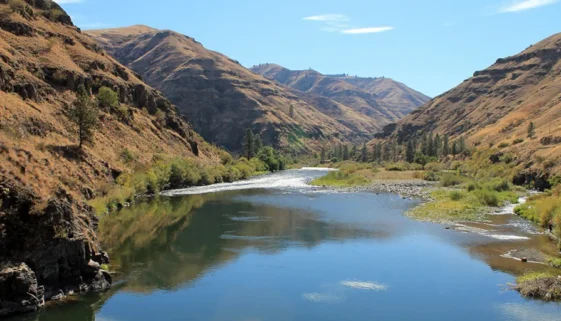Washington's Fly Fishing Triangle Spokane River Yakima River Grand Ronde River Best Times Locations and fly patterns to use.