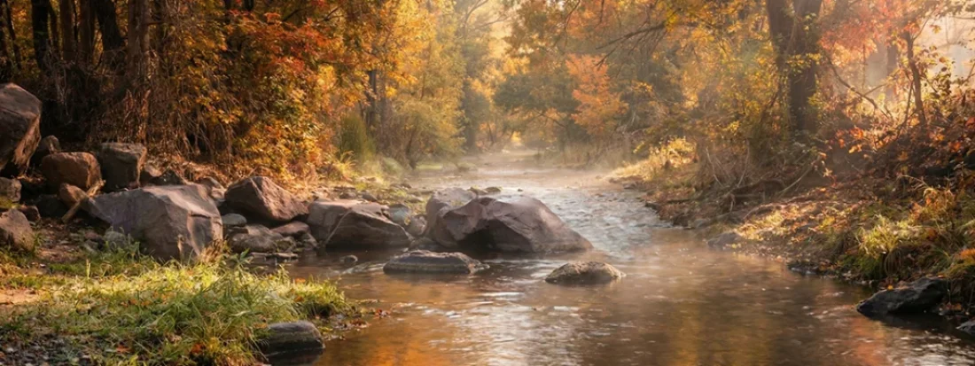 Deep guide to Galiuro Wilderness and Aravaipa Canyon Wilderness Arizona with history, routes, permits, seasons, and planning tips