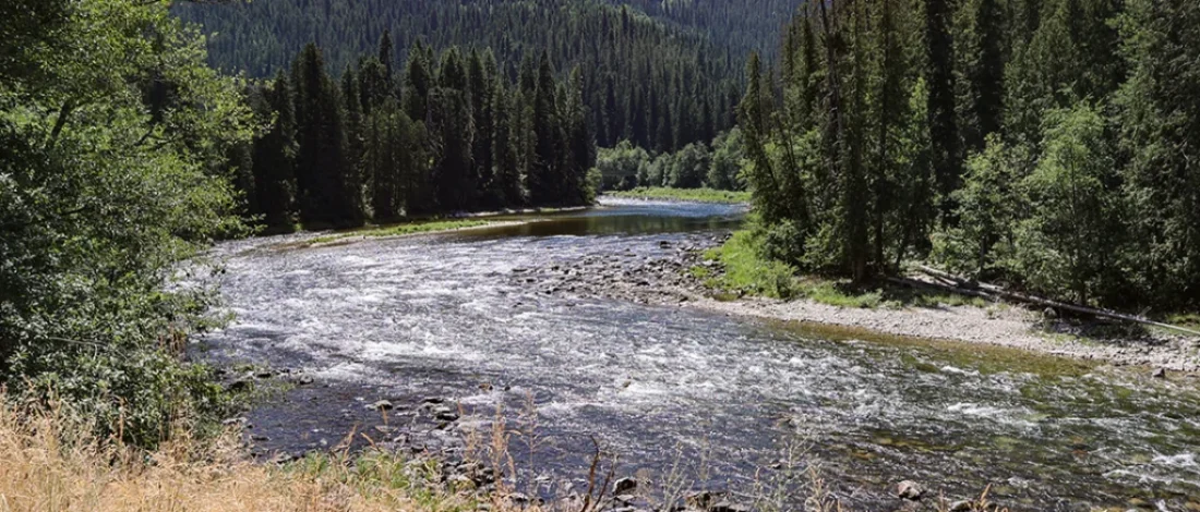 Deep guide to Clearwater River Fly Fishing Headwaters to Orofino Idaho with steelhead, trout tactics, access, seasons, and flies.