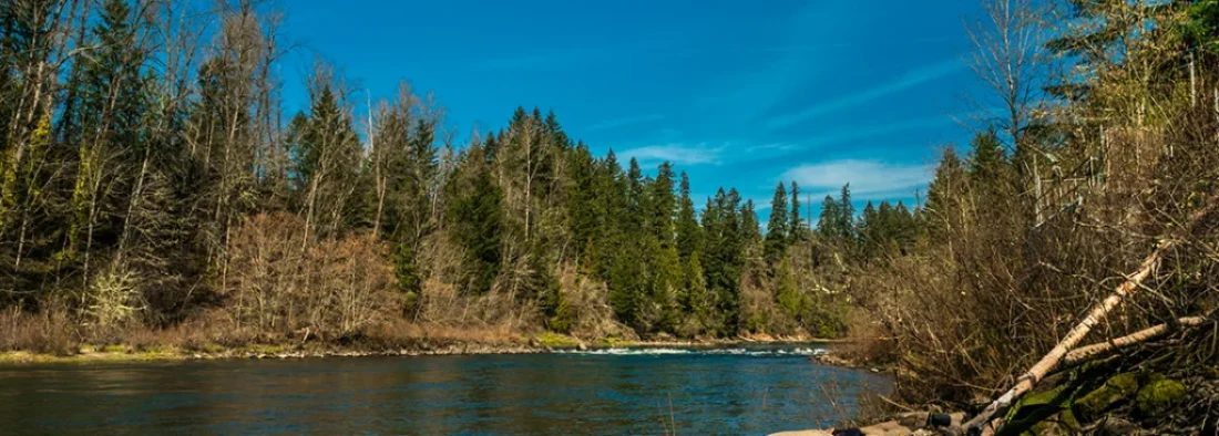 A sarcastic yet practical guide to Fly Fishing the Clackamas River for Steelhead and Trou, with gear, seasons, access, camping, and more.