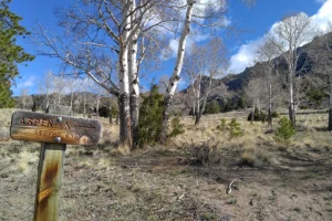 Great Sand Dunes National Park 4. 3