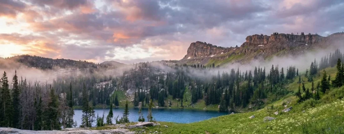 edediah Smith Wilderness Wyoming stands as a rugged counterpart to the polished fame of its neighbor. While Tetons captures the attention...