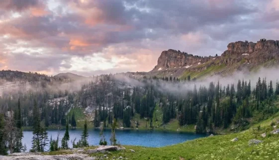 edediah Smith Wilderness Wyoming stands as a rugged counterpart to the polished fame of its neighbor. While Tetons captures the attention...