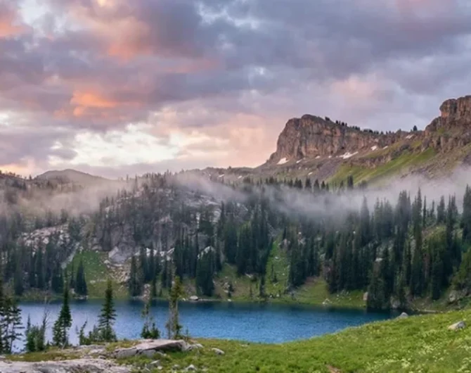 edediah Smith Wilderness Wyoming stands as a rugged counterpart to the polished fame of its neighbor. While Tetons captures the attention...
