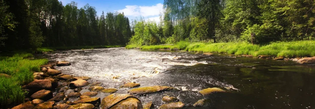 Plan your next McKenzie River Steelhead Fly Fishing Oregon adventure with this complete guide to seasons, flows, flies, and access.