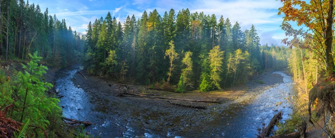 Deep guide to Sol Duc River Steelhead Fly Fishing Washington covering seasons, flies, gear, regs, guides, and trip planning.