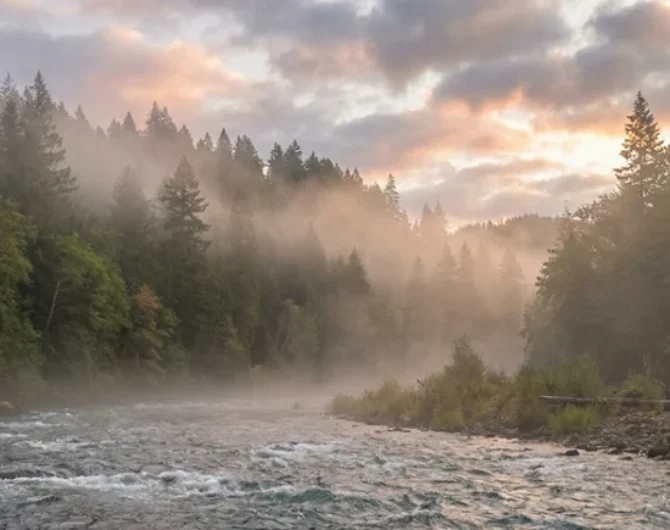 Learn how to approach Wind River Steelhead Fly Fishing Washington with gear tips, dry line tactics, access info, and conservation insight.