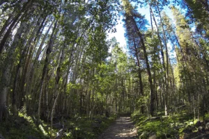 Backpacking Kroenke Lake-Hartenstien Lake 7. 3 Backpacking Kroenke Lake-Hartenstien Lake 7. 3