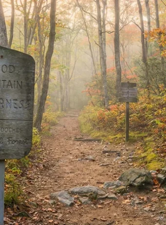 Explore hiking, camping, and trout fishing in Blood Mountain Wilderness and Brasstown Wilderness Georgia with maps, tips, and real trail details.