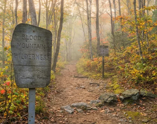 Explore hiking, camping, and trout fishing in Blood Mountain Wilderness and Brasstown Wilderness Georgia with maps, tips, and real trail details.