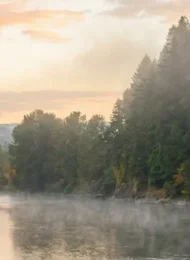 Learn how to fish Cowlitz River Steelhead Fly Fishing Washington with gear tips, seasons, flies, access, and planning advice for your trip